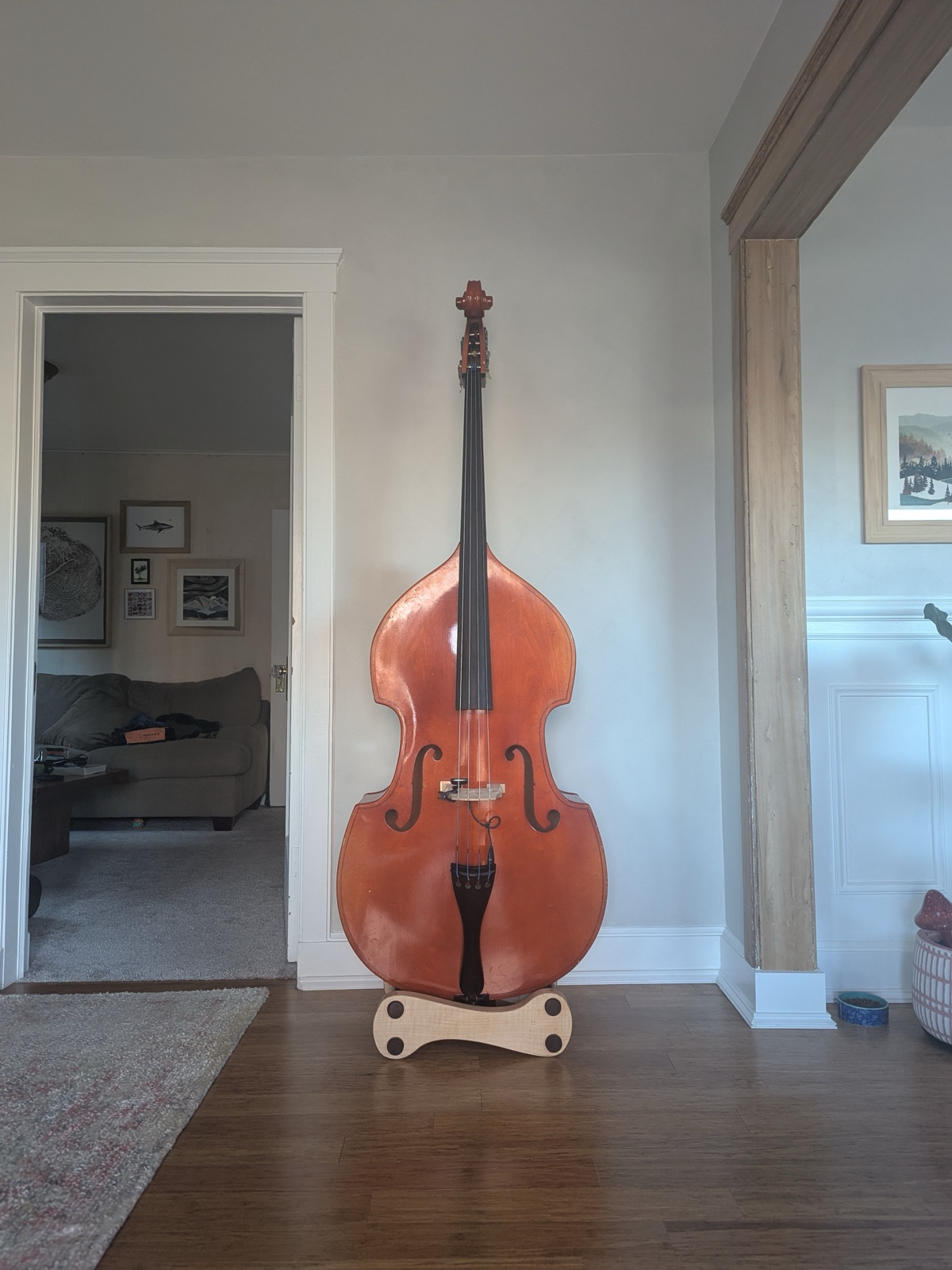 The Bass Stand — upright bass standing tall on custom maple and walnut stand