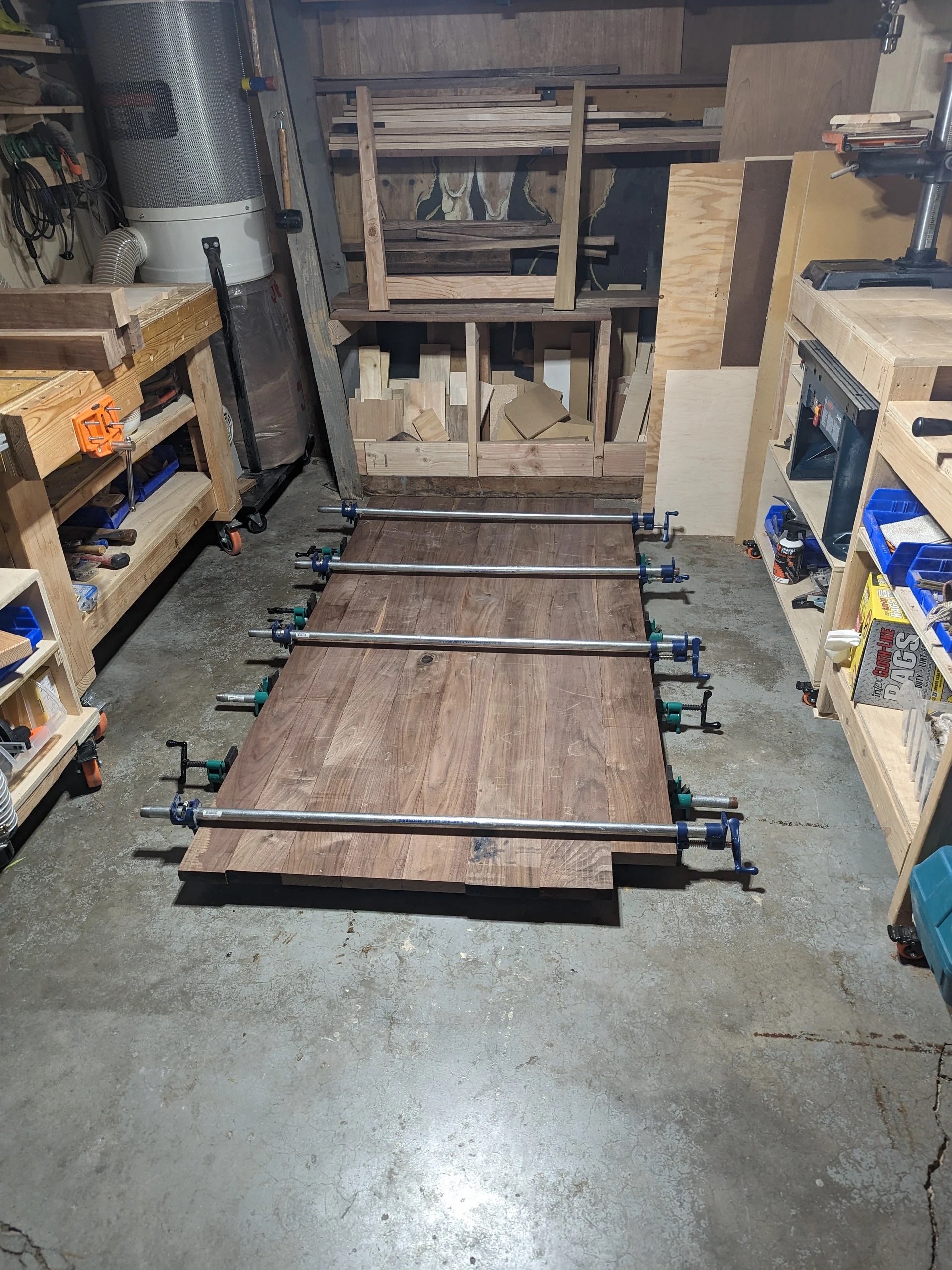 Walnut tabletop in clamps during the glue-up — eight boards becoming one