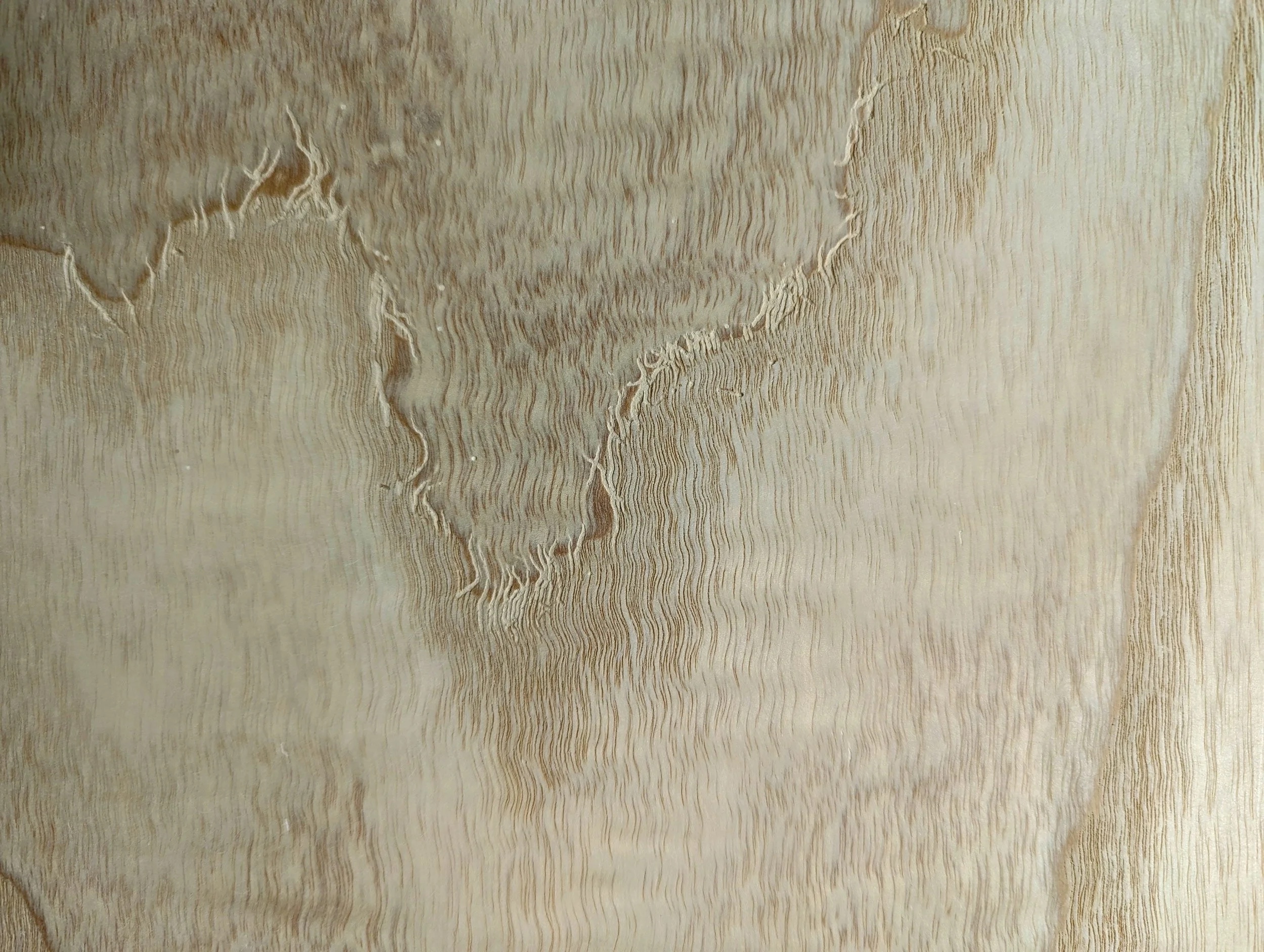 Close-up of square tenon joinery detail in ash