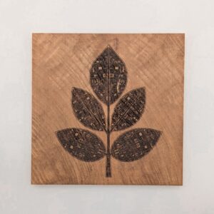 The Circuit Foliage Set | Ash