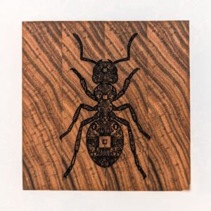 The Hive Mind Set | Yellowheart & Birch Endgrain