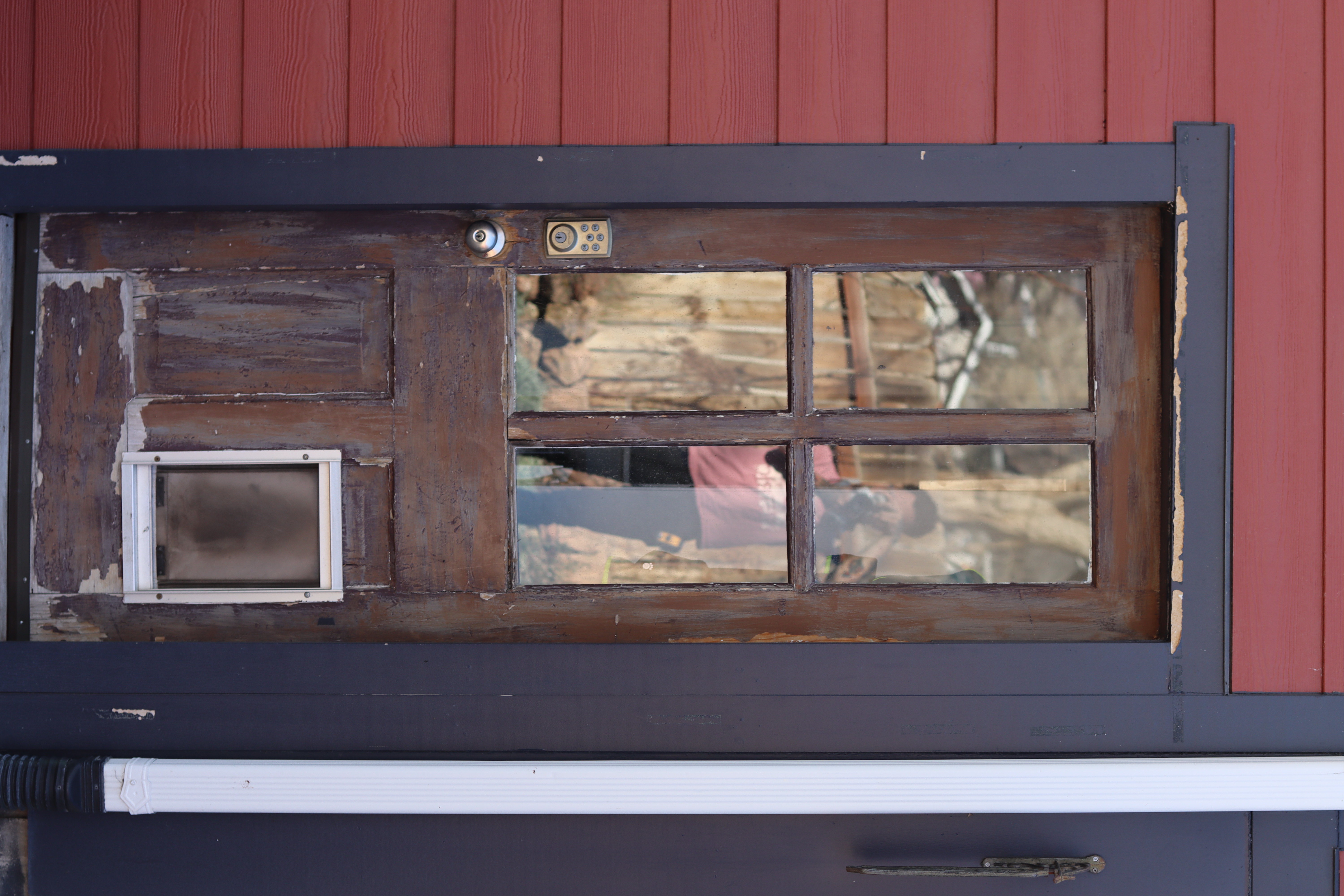 The current back door — paint peeling, divided window panes, undersized dog door