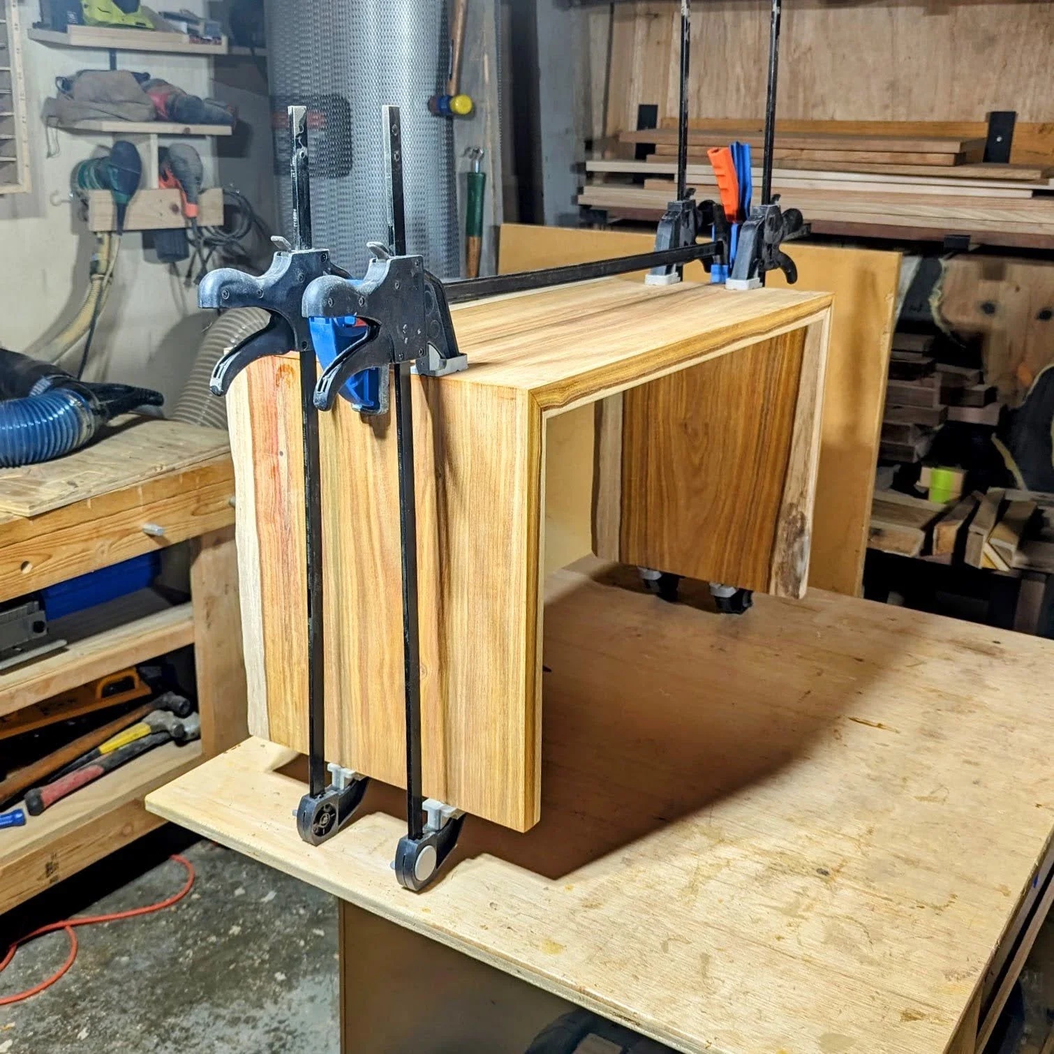 Waterfall joint clamped in the workshop — canary wood glue-up