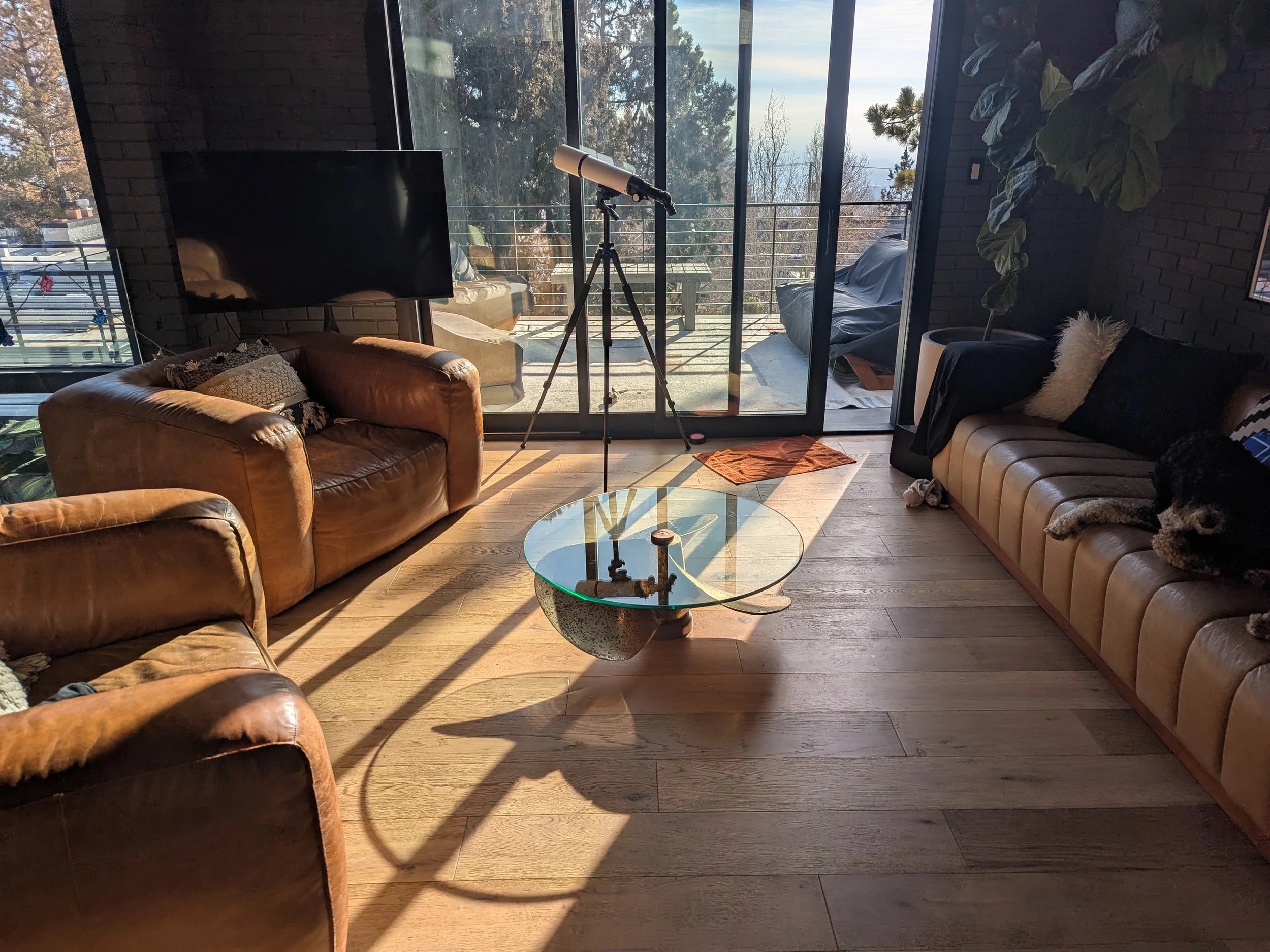 La Propela in its home — propeller coffee table with glass top in living room, leather couches, afternoon light