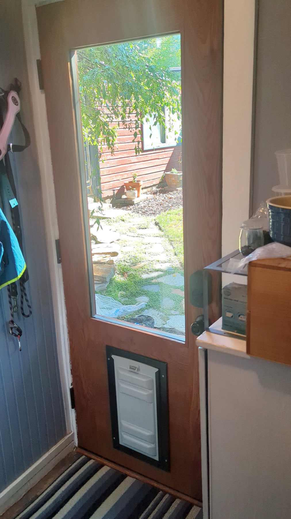 The new door from inside the mudroom — one clean pane framing the garden, the Endura flap set into the remade lower panel, leashes on the wall