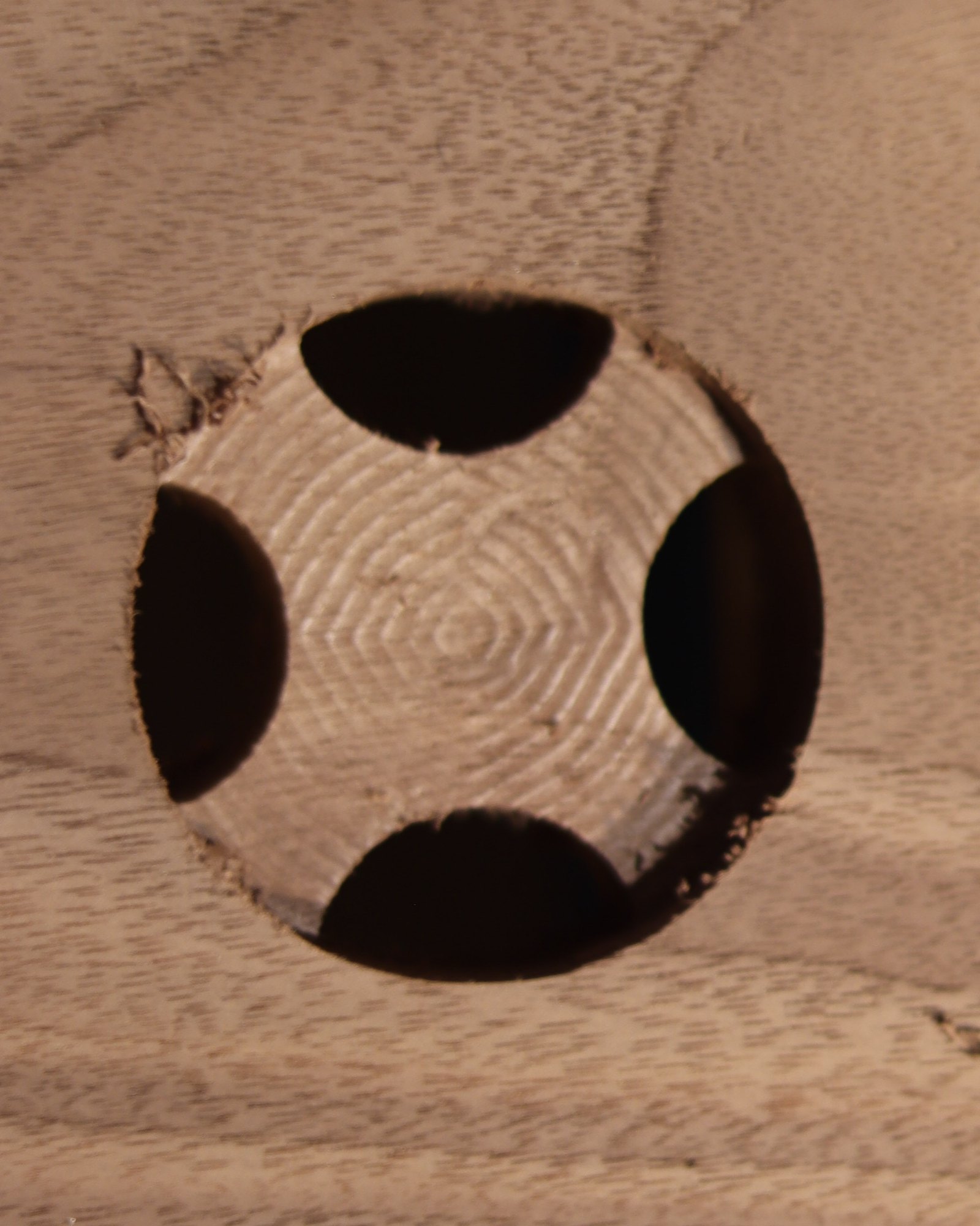 Macro of a single opening: four lobes cut through, concentric toolpath rings in the relief